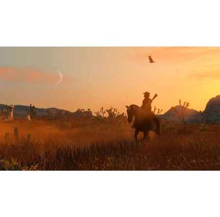 Гра консольна PS4 Red Dead Redemption Remastered, BD диск - фото 9