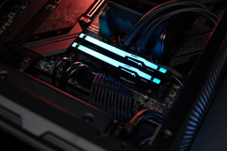 Kingston Пам'ять ПК DDR5 16GB 5600 FURY Beast RGB - фото 12