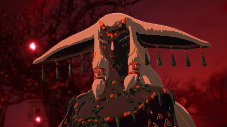 Гра консольна Switch 2 HYRULE WARRIORS AGE OF IMPRISONMENT, картридж - фото 5