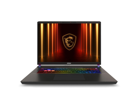 Ноутбук MSI Vector 17 HX AI A2XWHG-044XUA 17" QHD+ 240Hz, Intel Ultra 9 275HX_24C_24T, 32GB, F2TB, NVD5070TI-12, DOS, чорний - фото 1