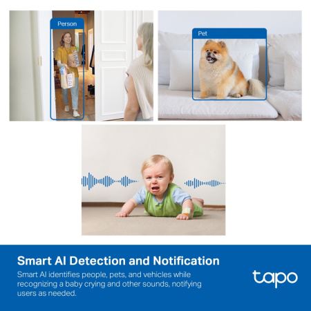 IP-Камера TP-LINK Tapo C125 4MP N300 microSD motion detection, штучний інтелект - фото 5