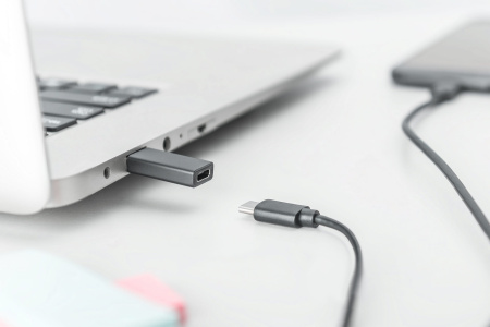Digitus Адаптер USB-A > USB-C (M/F), 3A, 5GB, ver. 3.0 - фото 3 Digitus Адаптер USB-A > USB-C (M/F), 3A, 5GB, ver. 3.0 - фото 3