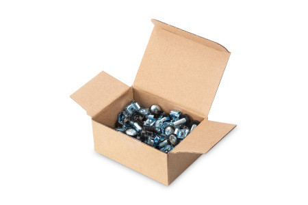 Digitus Кріпильний набір M6 Screws&Nuts, 50 pcs., silver - фото 3