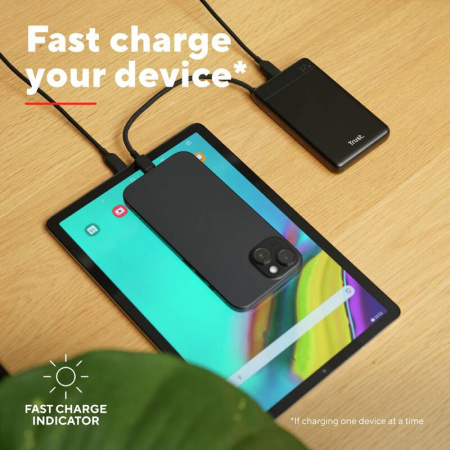 Акумулятор портативний літій-іонний power bank Trust Fiera, 10000мА·год, 2хUSB-C, 20W, PD/QC 3.0, чорний - фото 5